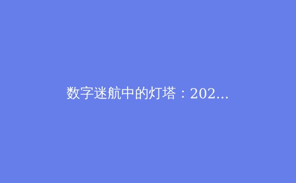数字迷航中的灯塔：2024年全球VPN技术演进与隐私保护新范式 - 3