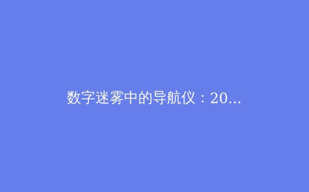 数字迷雾中的导航仪：2024年全球VPN技术演进与安全应用白皮书