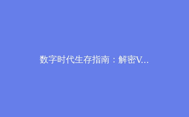 数字时代生存指南：解密VPN技术演进与信息安全新范式