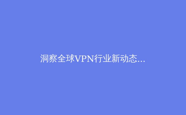 洞察全球VPN行业新动态：技术演进、法规博弈与用户隐私的未来 - 4