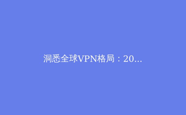 洞悉全球VPN格局：2024年网络安全、隐私保护与跨境连接深度解析 - 4