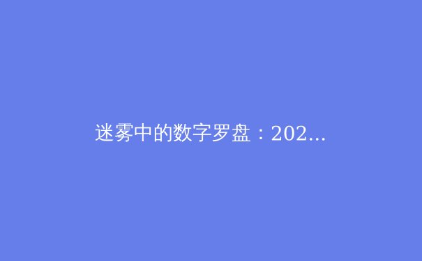 迷雾中的数字罗盘：2024年全球VPN技术演进与隐私保护新范式