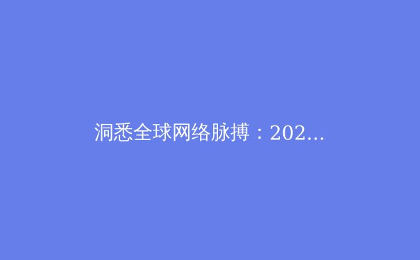 洞悉全球网络脉搏：2023年VPN技术趋势与安全资讯深度解读 - 3